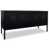 vidaXL TV Cabinet 118x40x60 cm Black
