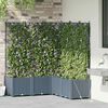 Product Thumbnail Image 2 of 9