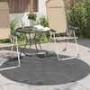 vidaXL Area Rugs Round Anthracite &Oslash; 160 CM