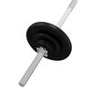 vidaXL Barbell with Plates 90 kg Cast Iron