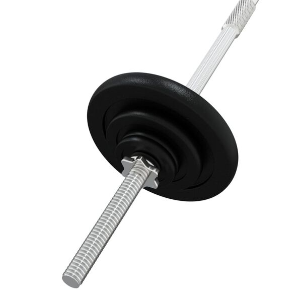 vidaXL Barbell with Plates 90 kg Cast Iron