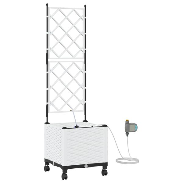 Showing Product Image 1 of 7