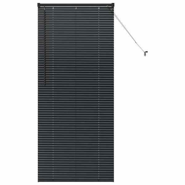 vidaXL Window Blind with Curtains Manual Black Aluminium