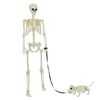 vidaXL Halloween Decoration Skeleton 2 pcs White Polypropylene