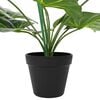Product Thumbnail Image 3 of 5