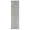 vidaXL Shoe Cabinet Concrete Grey 30x35x100 cm Engineered Wood
