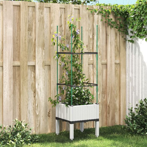 Showing Product Image 2 of 7