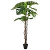 Product Thumbnail Image 2 of 5