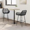 vidaXL Bar Chair 2 pcs Black 55 x 52 x 92 cm Rattan and Iron