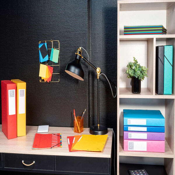 Exacompta Elasticated Filing Box A4 40mm Pressboard Glossy 8 pcs