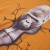 Product Thumbnail Image 4 of 7