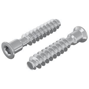 vidaXL Head Cap Screw 2 pcs Silver M7 x 40 mm Steel