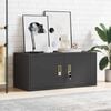vidaXL Storage Cabinet Black 90 x 40 x 40 cm Cold-Rolled Steel