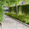 Product Thumbnail Image 2 of 9