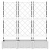 Product Thumbnail Image 4 of 8