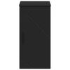 vidaXL Bathroom Cabinet Wall-mounted with Door Black 30 x 31.5 x 61 cm