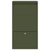 vidaXL Parcel Drop Box with Storage Olive Green 44 x 22 x 82 cm Steel