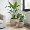 Product Thumbnail Image 2 of 9
