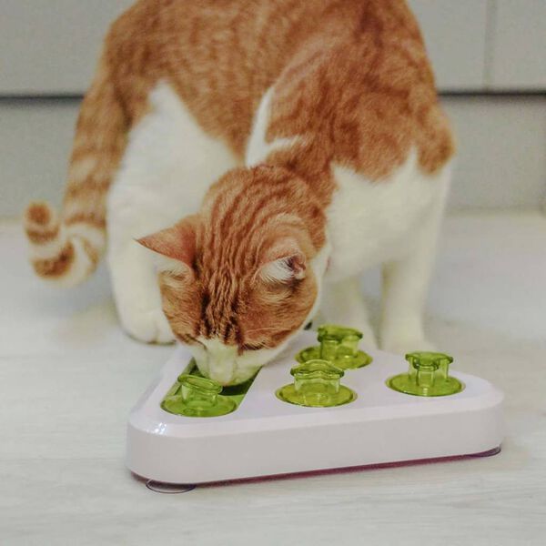 Ferplast Activity Cat/Dog Toy Trea