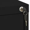 vidaXL Filing Cabinet Black 46x62x133 cm Steel