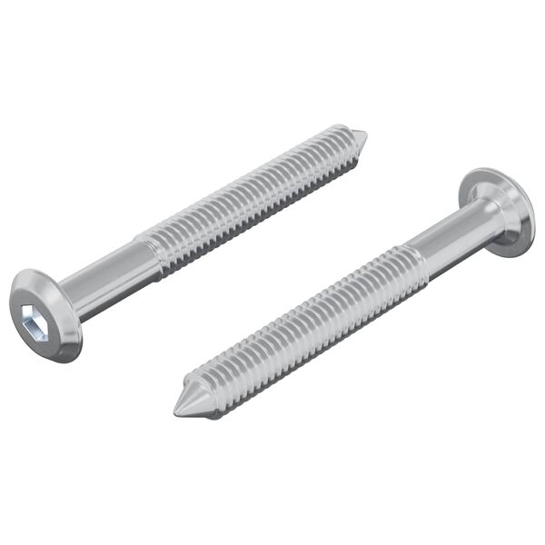 vidaXL Screw 2 pcs Silver M6 x 50 mm Steel