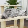 vidaXL Cat Tree with Sisal Scratching Posts Cream 50.5 cm
