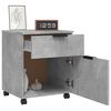 vidaXL Mobile File Cabinet with Wheels Concrete Grey 45x38x54 cm Engineered Wood