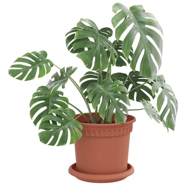 vidaXL Round Flower Tray 24 pcs Brick Red &Oslash; 14 x 2 cm Plastic