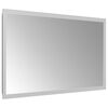 vidaXL LED Bathroom Mirror 30x50 cm