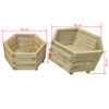 vidaXL Two Piece Garden Raised Bed Set Impregnated Pinewood