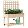 vidaXL Garden Planter Beige 115 x 60.5 x 153 cm Solid Fir Wood