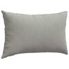 vidaXL Sofa Pillows 2 pcs Light Grey 50 x 30 cm Fabric