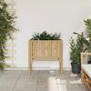 Product Thumbnail Image 3 of 15