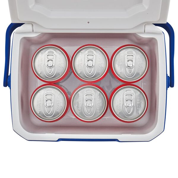 Coleman Cool Box Personal 5QT Blue 4 L