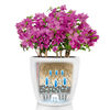 LECHUZA Planter CLASSICO Color 18 ALL-IN-ONE White