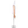 Product Thumbnail Image 5 of 10