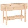 vidaXL Garden Raised Bed 101x30x69 cm Solid Wood Pine