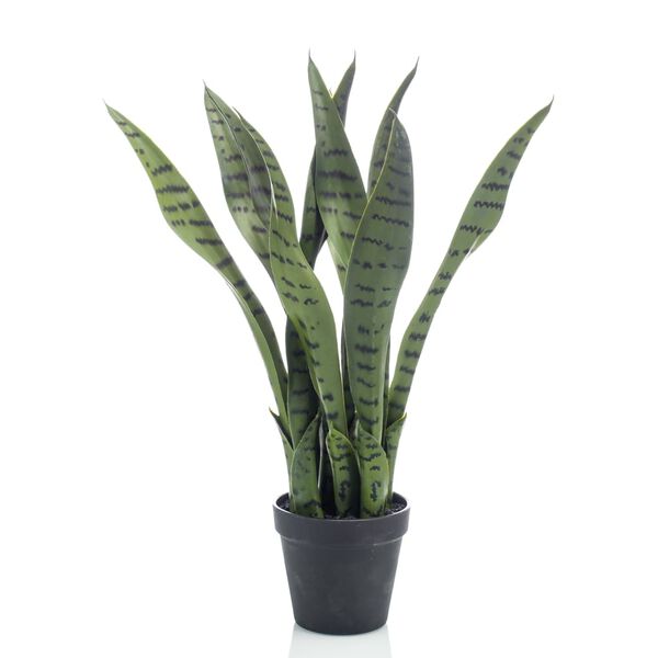 Emerald Artificial Sansevieria 55 cm in Pot