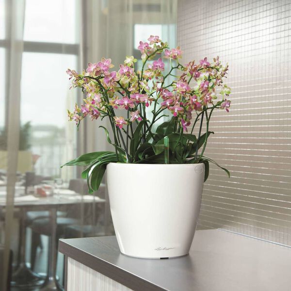 LECHUZA Planter CLASSICO LS 43 ALL-IN-ONE High-Gloss White 16080