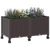 Product Thumbnail Image 3 of 8