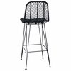 vidaXL Bar Chair 2 pcs Black 44.5 x 53 x 111 cm Rattan and Iron