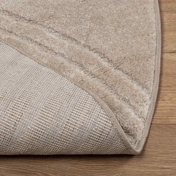 vidaXL Area Rugs Round Beige &Oslash; 160 CM