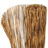 Product Thumbnail Image 6 of 7