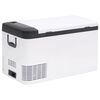vidaXL Cool Box with Handle Black and White 18 L PP & PE