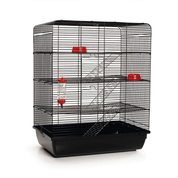 Beeztees Rat Cage Remy Black 58x38x71 cm 266815