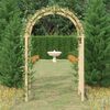 vidaXL Arch with Trellis 141x97x243 cm Impregnated Solid Wood Pine