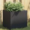 Product Thumbnail Image 2 of 12