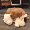 Snuggle Puppy Heartbeat Stuffed Dog Toy Golden
