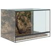 vidaXL Terrarium with Storage Transparent 60 x 40 x 40 cm Glass