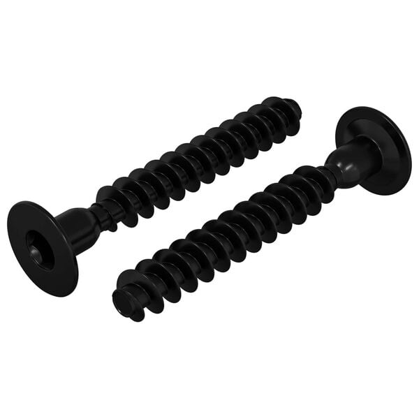 vidaXL Socket Cap Head Screw 2 pcs Black M5 x 40 mm Iron